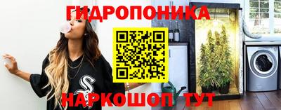 Альфа ПВП Комсомольск-на-Амуре