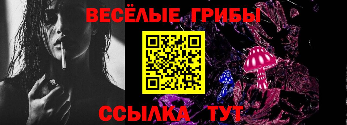 Киселёвск  Галлюциногенные грибы Psilocybe  Вход с VPN 